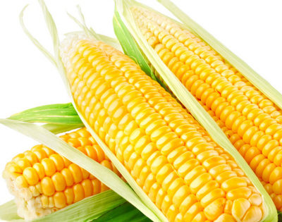 云南甜玉米 水果玉米 约2.5kg 6-9根